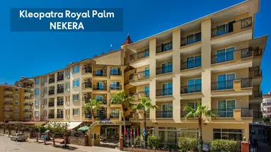 KLEOPATRA ROYAL PALM