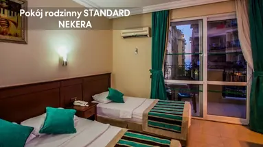 KLEOPATRA ROYAL PALM