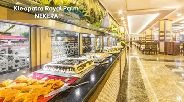 KLEOPATRA ROYAL PALM