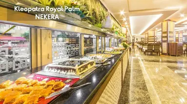 KLEOPATRA ROYAL PALM