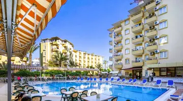 Kleopatra Royal Palm