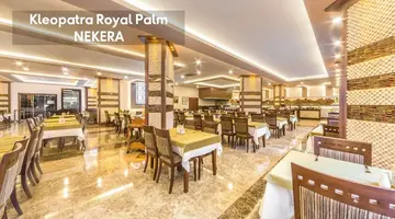 KLEOPATRA ROYAL PALM