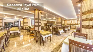 KLEOPATRA ROYAL PALM