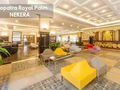 KLEOPATRA ROYAL PALM