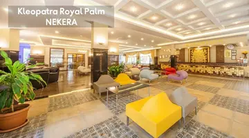 KLEOPATRA ROYAL PALM