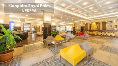 KLEOPATRA ROYAL PALM