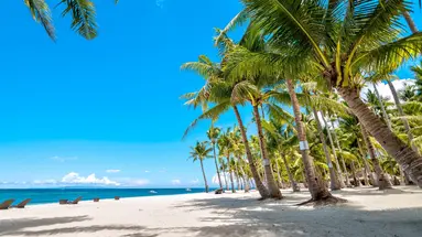 Kolorowe Filipiny - na lądzie i pod wodą