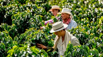 Kolumbia Kontrastów