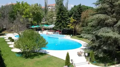 Koral Sveti Konstantin