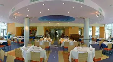 Koral Sveti Konstantin