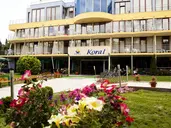 Koral Sveti Konstantin