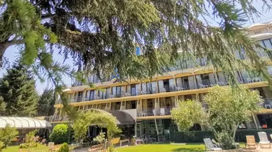 Koral Sveti Konstantin