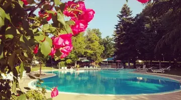 Koral Sveti Konstantin