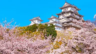 Korea Południowa i Japonia