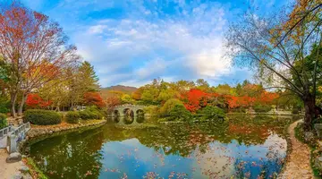 Korea Południowa od kuchni