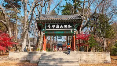 Korea Południowa od kuchni