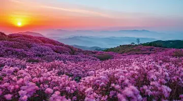 Korea Południowa od Tradycji po Nowoczesność