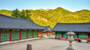 Korea Południowa - oko w oko z azjatyckim tygrysem premium