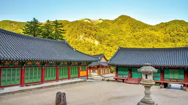 Korea Południowa - oko w oko z azjatyckim tygrysem premium