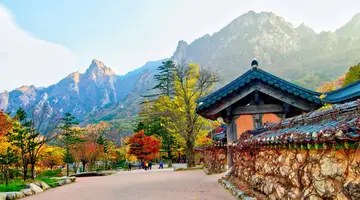 Korea Południowa - oko w oko z azjatyckim tygrysem premium