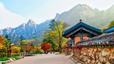 Korea Południowa - oko w oko z azjatyckim tygrysem premium