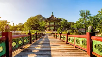 Korea Południowa - oko w oko z azjatyckim tygrysem premium