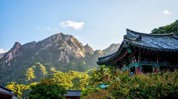 Korea Południowa - oko w oko z azjatyckim tygrysem premium