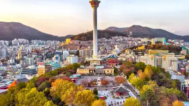 Korea Południowa - oko w oko z azjatyckim tygrysem premium