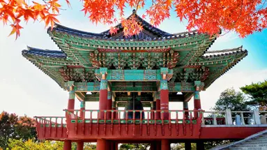 Korea Południowa - oko w oko z azjatyckim tygrysem premium