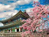 Korea Południowa - oko w oko z azjatyckim tygrysem