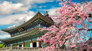 Korea Południowa - oko w oko z azjatyckim tygrysem