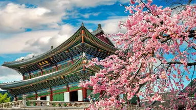 Korea Południowa - oko w oko z azjatyckim tygrysem