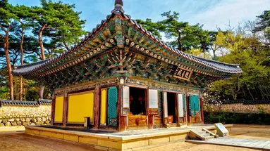 Korea Południowa - oko w oko z azjatyckim tygrysem