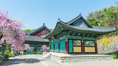 Korea w Pełnym Kolorze