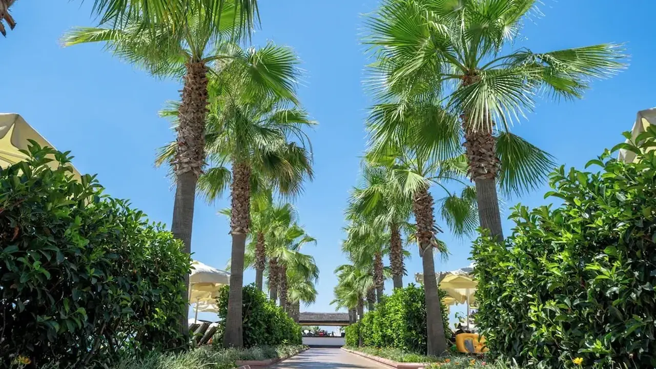 Korumar Ephesus Beach & Spa Resort All