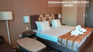 Kotva