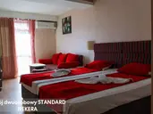 Kotva
