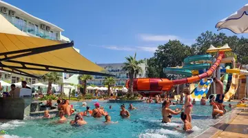 Kotva