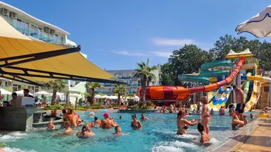 Kotva