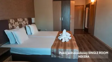Kotva
