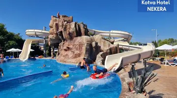 Kotva