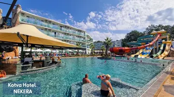 Kotva
