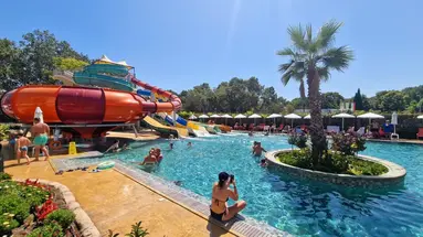 Kotva