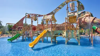 Kotva