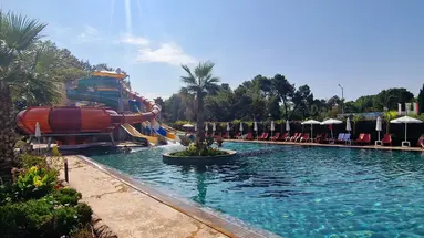 KOTVA