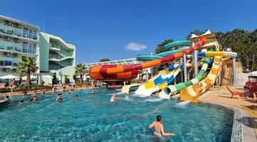 Kotva