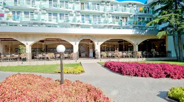 Kotva