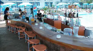 Kotva