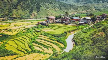 Królestwo Bhutanu