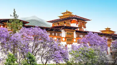 Królestwo Bhutanu